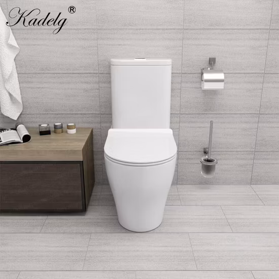 Cupc One Piece Ceramic Wc Water Closet Dual Flush Bathroom Accessory Toilet Bowl Suites